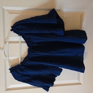 Max Studio Royal Blue top